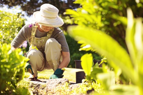 Safe online payment options for tree surgery services in Thamesmead