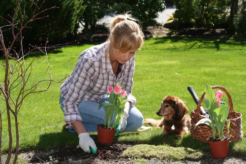 Trusted secure payment methods for Tree Surgeons Thamesmead
