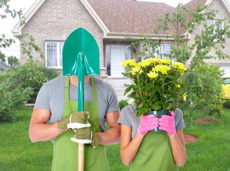 Tree care and canopy management for a Thamesmead property